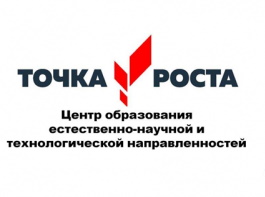 Логтип точка роста.